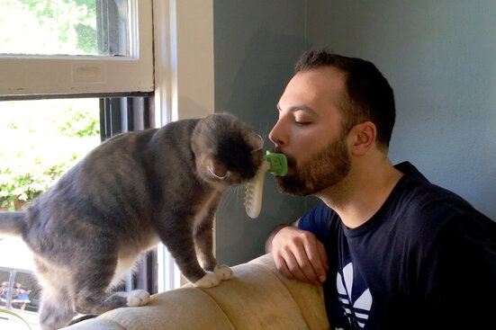 Katzenzunge für Menschen: Mit «Licki Brush» die eigene Katze ablecken - 