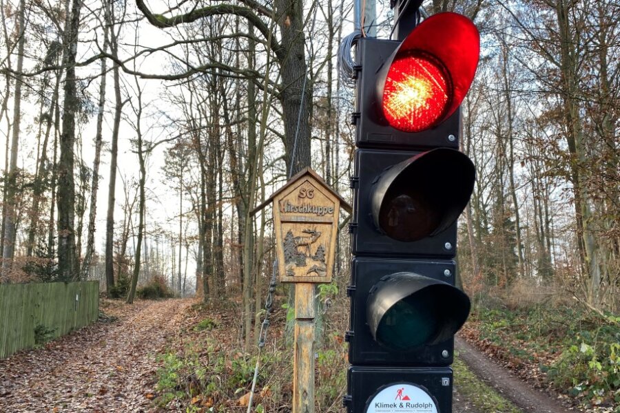 In Ringethal bei Mittweida regelte im vergangenen Sommer eine Ampel, die mitten im Wald stand, den Verkehr auf einer Umleitungsstrecke über die Hirschkuppe. Denn die Straße Am Buchenberg war gesperrt. Obwohl dort weiter gebaut wird, soll es diesmal eine andere Lösung geben.