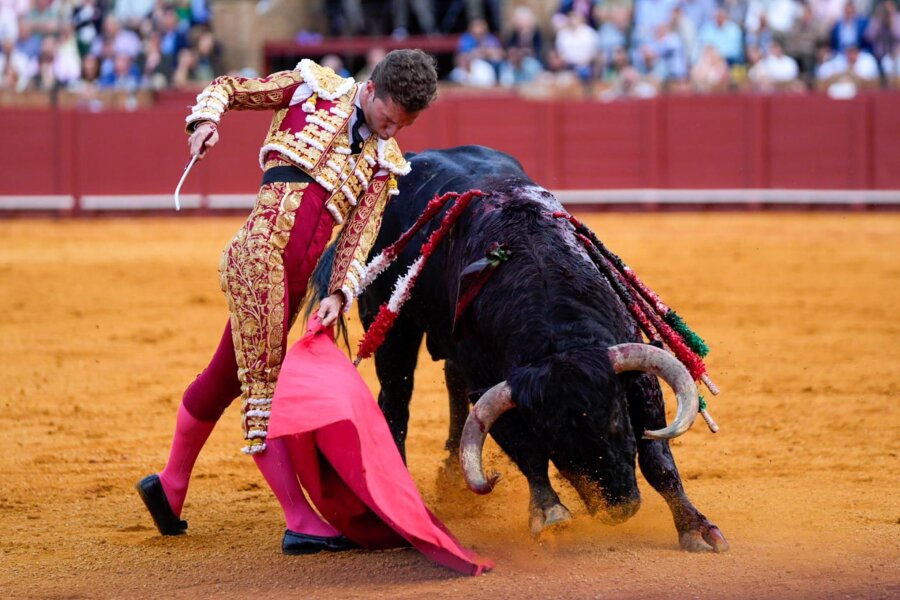 Kein Geld mehr für Stierkampf: Spanien sagt Toreros den Kampf an - Der Stierkämpfer Juan Pedro García „Calerito“ während seines Stierkampfes in Sevilla.