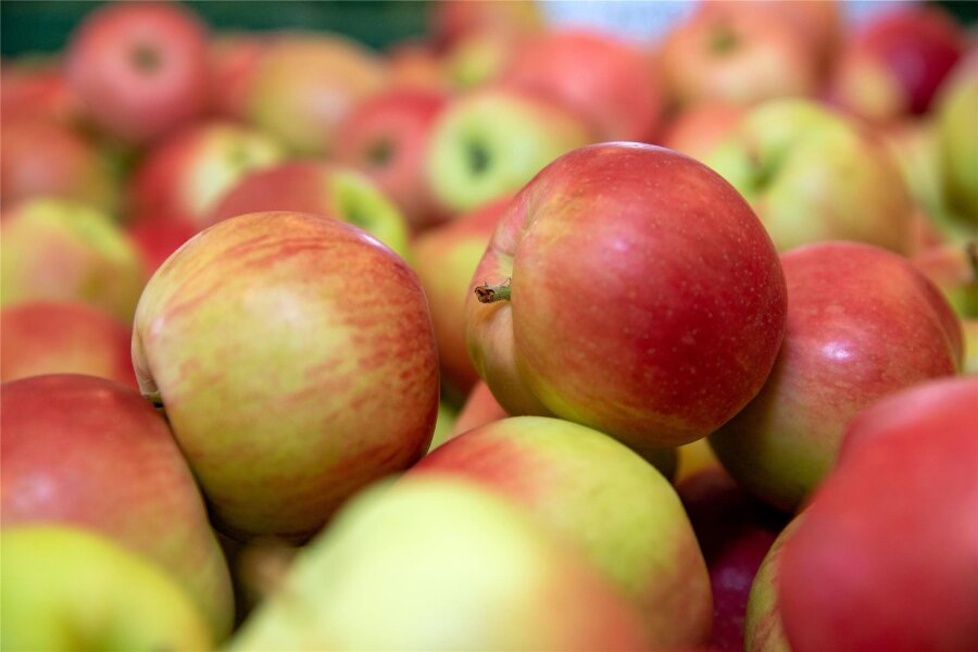 Kernobst steht beim Apfelfest von Kleingera im Mittelpunkt - Rund um das Thema Äpfel dreht sich das Fest am Samstag in Kleingera