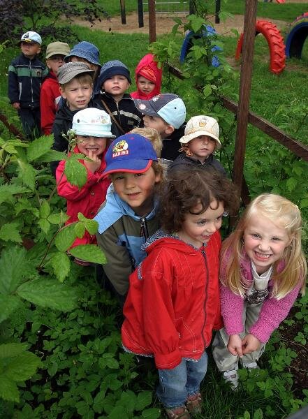 Kinder erleben Garten mit allen Sinnen - 
              <p class="artikelinhalt">Die Mädchen und Jungen des Reinsdorfer Kindergartens "Anne Frank" erforschen den neuen Brombeertunnel . </p>
            