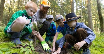 Kinder helfen beim Kampf für stabileren Wald - 