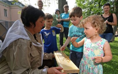 Kinder öffnen die ersten Bienenbeuten - 