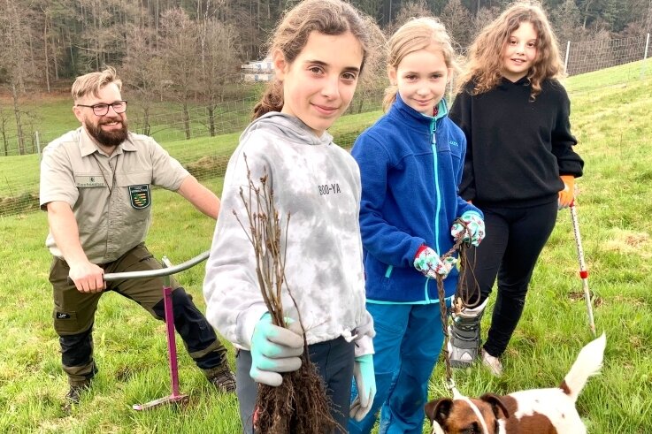 Greta, Annika und Helena (v. l.) pflanzten bei der Erstaufforstung im Griesetal in Lauter einige Eichen. Michael Pfalz und sein Hund Django unterstützten die Mädels dabei. 