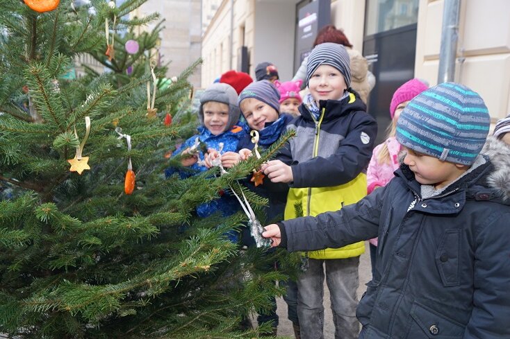 Kinder schmücken Bäume auf Zwickauer Weihnachtsmarkt - 