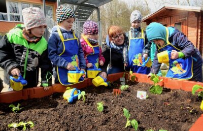 Kinder setzen in Kita junges Gemüse ein - 