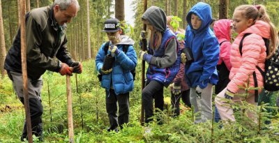Kinder streifen beim Walderlebnistag durch die Natur - 