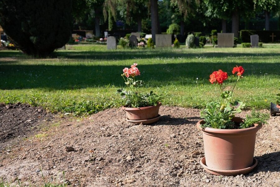 Kindesmissbrauch: Priestergrab in Heidenau beseitigt - Blumentöpfe stehen auf der einstigen Grabstelle des Pfarrers Herbert Jungnitsch auf dem Südfriedhof von Heidenau. 
