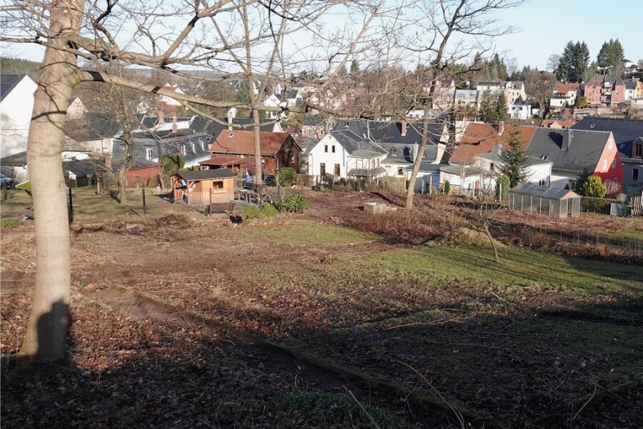 Kirchberg will viel Geld in Schulhof und Garten stecken - Der noch trostlose Schulgarten der Ernst-Schneller-Grundschule. Doch der könnte sich schon bald enorm verändern. 
