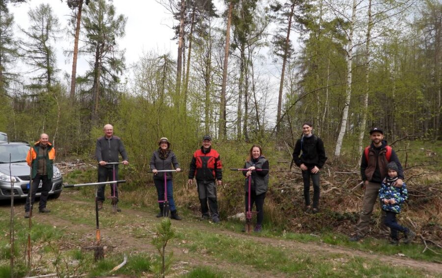 Mitglieder der Kirchgemeinde Mittweida haben im Bürgerwald Bäume gepflanzt.