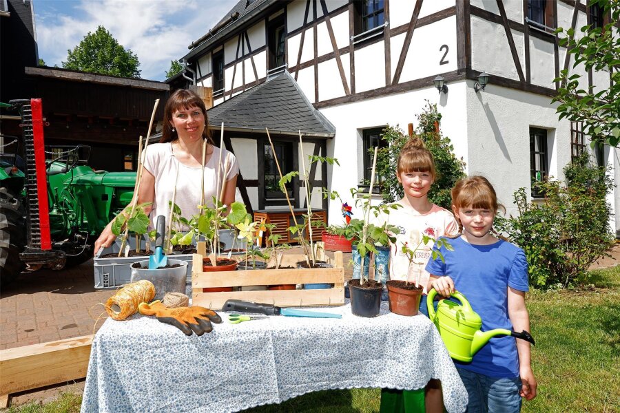 Kleine Gärtner aus Grundschule im Erzgebirge werden zu Händlern - Miriam Kämpf und ihre Töchter Gloria und Charlotte haben Pflanzen für den großen Pflanzenmarkt in der Montessori-Grundschule vorbereitet.