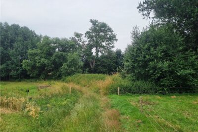 Kleiner Teich am Heideweg in Wiesa wird saniert - Der kleine Teich am Heideweg soll abgedichtet werden. Der Weg davor, der auch als Wanderweg genutzt wird, ist aufgrund des undichten Dammes an einigen Stellen durchnässt.