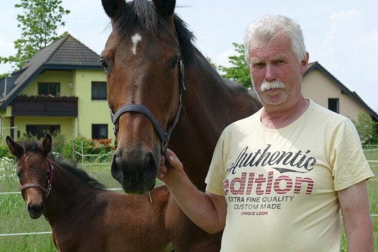 Kleiner Verein mit großer Wirkung - Pferde sind die große Leidenschaft von Frank Drescher, der als Vorsitzender des Reit- und Fahrvereins Weißbach schon viel bewegt hat. 