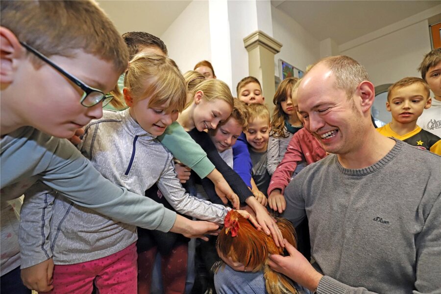 Kleintierzüchter aus Weißenborn und Berthelsdorf kämpfen um ihr Hobby - Züchter Marcel Steffen begeistert die Kinder der Weißenborner Grundschule mit einem Zwerg-Cochin-Hahn.