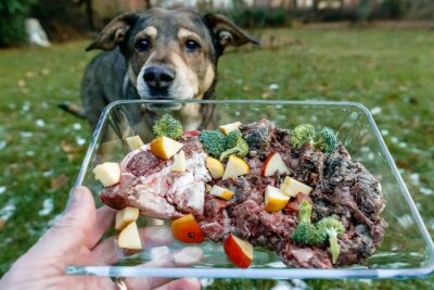 Klimasünder Haustier - Selbstgekochtes für den Hund spart die Verpackung, ist aber nicht ohne Risiko.