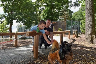 Klingenthaler Tierpark hat jetzt einen begehbaren Bauernhof - Der Hühnerhof ist für die Besucher begehbar, die Tiere können auch gefüttert werden.