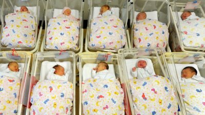 Kliniken Erlabrunn wollen an ihrer Geburtshilfe festhalten - Sachsens Sozialministerium plant, die jährliche Zahl der Geburten zum Kriterium für den Fortbestand der Entbindungsstationen zu machen. 