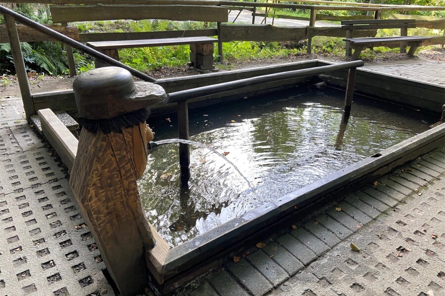 Kneipp-Anlage in der Chemnitz: Warum aus der Idee nichts wird - Ein Wassertretbecken mit Geländer steht in Einsiedel. Es wird von einer Familie sauber gehalten.