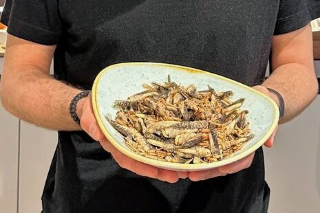 Kochen mit Grillen und Würmern - Die Zutat für einen gesunden Snack: Zirp-Insects-Gründer Christoph Thomann empfiehlt, die Insekten in Salz in der Pfanne zu rösten. Dann werden sie schön knusprig. 