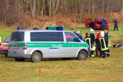 Königswalde: Mann bei Fällarbeiten von Baum erschlagen - Bei einem Arbeitsunfall in Königswalde ist am Samstag ein 53-Jähriger von einem Baum erschlagen worden.
