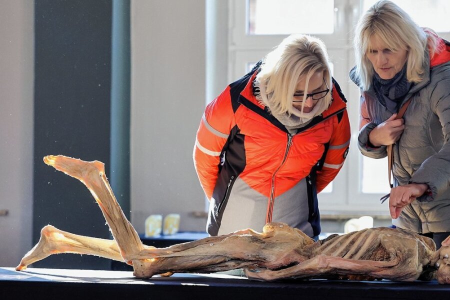 Körper-Ausstellung im Tanztempel in Meerane: Was Gäste zur Anatomie-Schau sagen - Bianca Beck (links) aus Crimmitschau hat gemeinsam mit ihrer Mutter Diana die Ausstellung im EKM besucht