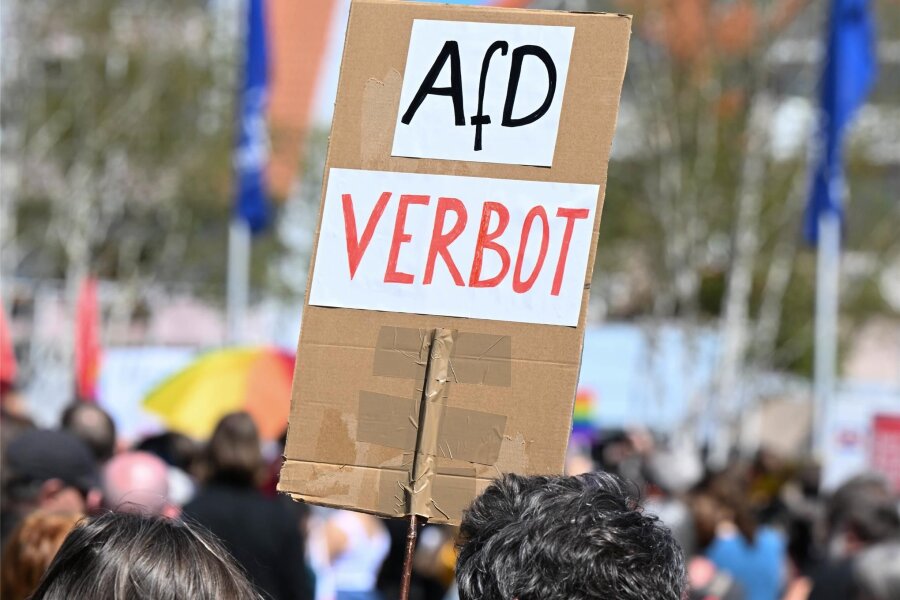 Kommentar: Warum sich die AfD nach dem Urteil von Münster eigentlich auflösen müsste - AfD-Gegner demonstrieren in Donaueschingen. Fällt der AfD der eigene Erfolg auf die Füße?