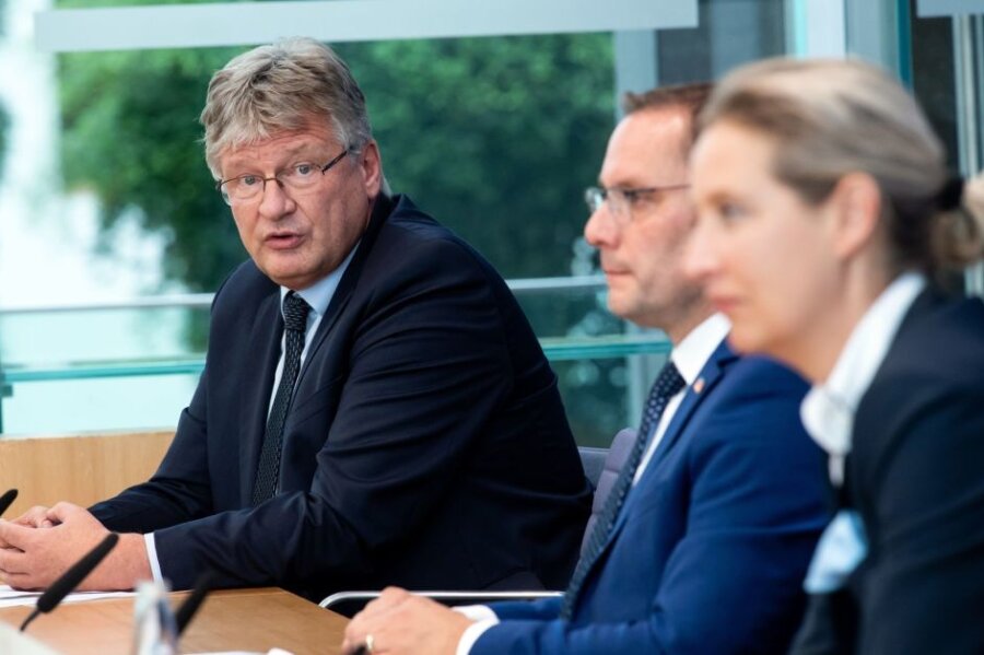Der langjährige AfD-Bundesvorsitzende Jörg Meuthen (l) nimmt an einer Pressekonferenz teil.