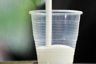 Kostenlose Milch von der EU für Eichigter Kindergarten - Ein Jahr kostenlose Milch durch ein EU-Förderprogramm gibt es für Knirpse in der Eichigter Juniorkiste.
