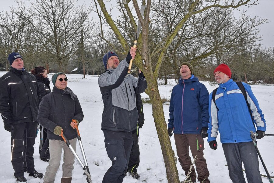 Kostenloser Workshop am Stadtpark in Oederan: So schneidet man die Obstbäume richtig - Vor einem Jahr lag noch Schnee: Schon 2023 hatte die Oederaner Initiative zum Seminar eingeladen.