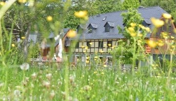 Kräutertag im Holzfällerhaus - So schönt blüht es in der Bergstraße 10 in Holzhau. 