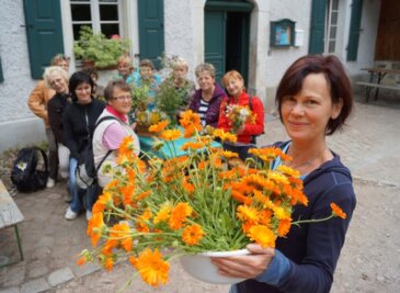 Kräuterwanderung in Hirschfeld - Ringelblume heilt Wunden - Jana Schreiter zeigte am Sonnabend den Teilnehmerinnen an der Kräuterwanderung, wie man mit einfachen Mitteln aus Ringelblumen eine Salbe bereitet.