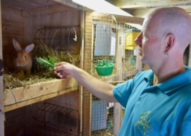 Krankheiten und Kostenanstieg erschweren Kaninchenzucht - Auch die Tierhaltung ist aufgrund gestiegener Futterpreise teurer geworden. Matthias Heidrich beim Füttern.