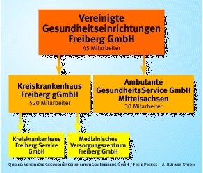 Kreiskrankenhaus erhält neue Schwester - 
              <p class="artikelinhalt">Zur Krankenhaus-Holding gehört ab Mittwoch eine neue Firma. Die Service GmbH war 2004, die Versorgungszentrum GmbH 2007 gegründet worden.</p>
            