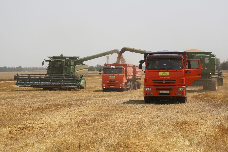 Krieg gegen die Ukraine: So ist die Lage - Mehrere EU-Staaten fordern von der Europäischen Kommission Importbeschränkungen für russisches Getreide.