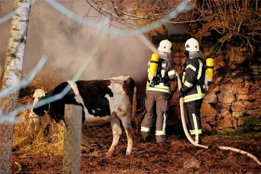 Kriminalität in Frankenberg geht zurück, doch mehr Gewalt und Drogen - Erst im Januar 2023 brannten in Mühlbach Strohballen, gelagert zwischen zwei Ställen. 38 Rinder konnten durch den Einsatz von 42 Feuerwehrleuten gerettet werden.