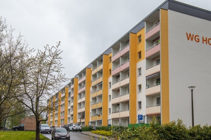 Kritik an Vermieter aus dem Stadtrat - An der Sonnenstraße hat die Wohnungsgesellschaft in Plattenbauten und Außenanlagen investiert. Doch nicht alles findet Beifall