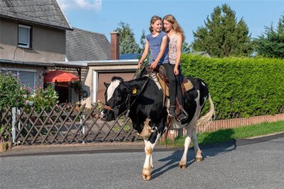 Kritik in den Sozialen Medien: Darf man eine Kuh reiten? - Auf dem Reiterhof von Pierre Fritzsche reiten Lina (links) und Kira auf einer Kuh. Auf Facebook gibt es Kritik.