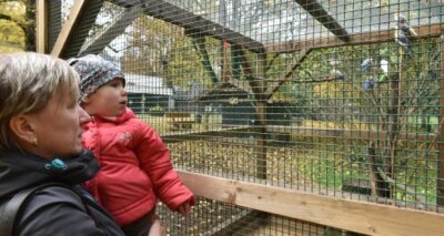 Kronkorken-Aktion: Tierpark Freiberg erhält 6500 Euro - Der Freiberger Zoo erhält 6500 Euro, um einen Mini-Zoo bauen.