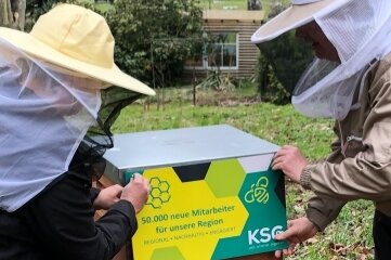 KSG hat nun ein eigenes Bienenvolk - Der "dritte KSG-Firmenstandort": der Bienenstock in Gornsdorf. 