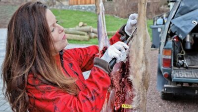 Künftige Jägerin zieht Reh Fell über die Ohren - Kristin Meiner ist inzwischen versiert darin, einem Reh das Fell abzuziehen. Das Zerlegen von Wild gehört jedoch nicht zum Ausbildungsprogramm eines angehenden Jägers.