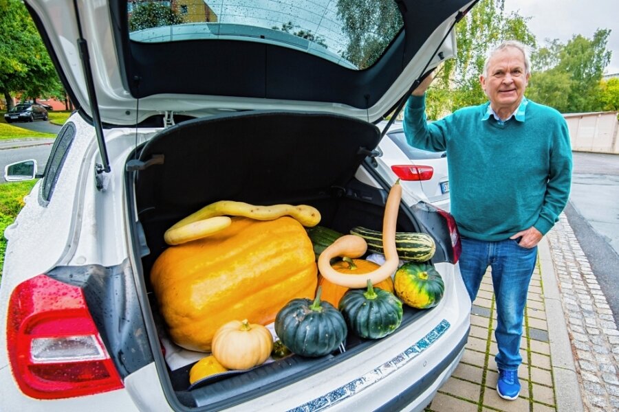 Kürbisexperte ist erst erschrocken - und dann total begeistert - Rainer Drechsler hat schon die ersten Kürbisse für den Bauernmarkt im Kofferraum seines Autos. 