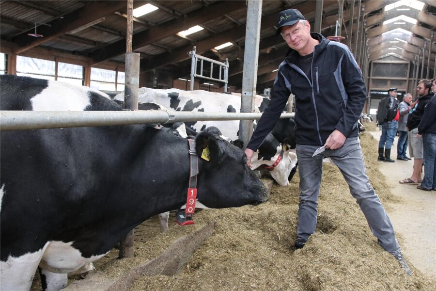 Kuhstall in Kröstau modernisiert: So sieht das Wohlfühlprogramm für Milchkühe aus - Lutz Seidel-Höhne im Stall bei den Milchkühen.