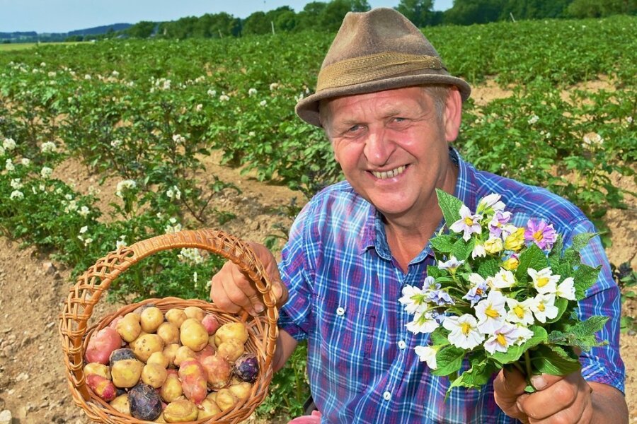 Kultureller Neustart im Zeichen der Kartoffel in Rotschau - Ulrich Gündel liegen die Kartoffeln auch nach Corona am Herzen. Jetzt lädt er zum Kartoffelblütenfest.