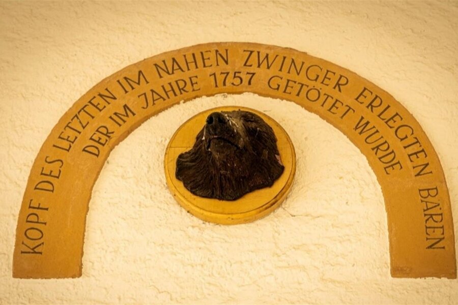 Kurioser Diebstahl auf Schloss Augustusburg: „Der Dieb kann den Bärenkopf gerne wieder hinhängen.“ - Die Skulptur am Nordportal von Schloss Augustusburg erinnert daran, dass dort viele Jahre lang Bären im Zwinger gehalten wurden.