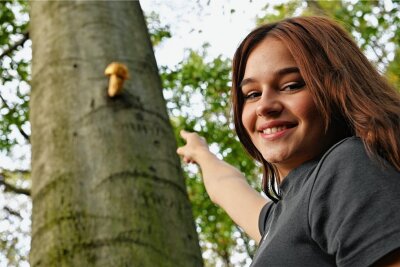Kurioser Fund bei Rochlitz: Pilz wächst in fünf Meter Höhe - In einem Waldstück bei Wittgendorf hat die 13-jährige Frieda mit ihrer Mutter Denise Büttner vor einigen Tagen am Stamm einer Buche einen etwa 25 Zentimeter großen Pilz entdeckt.