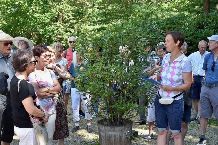 Kurpark Bad Elster erfreut mit Bepflanzungen und Raritäten - Gartenbaumeisterin Elke Sternitzky bei einer Führung durch die Anlagen. 