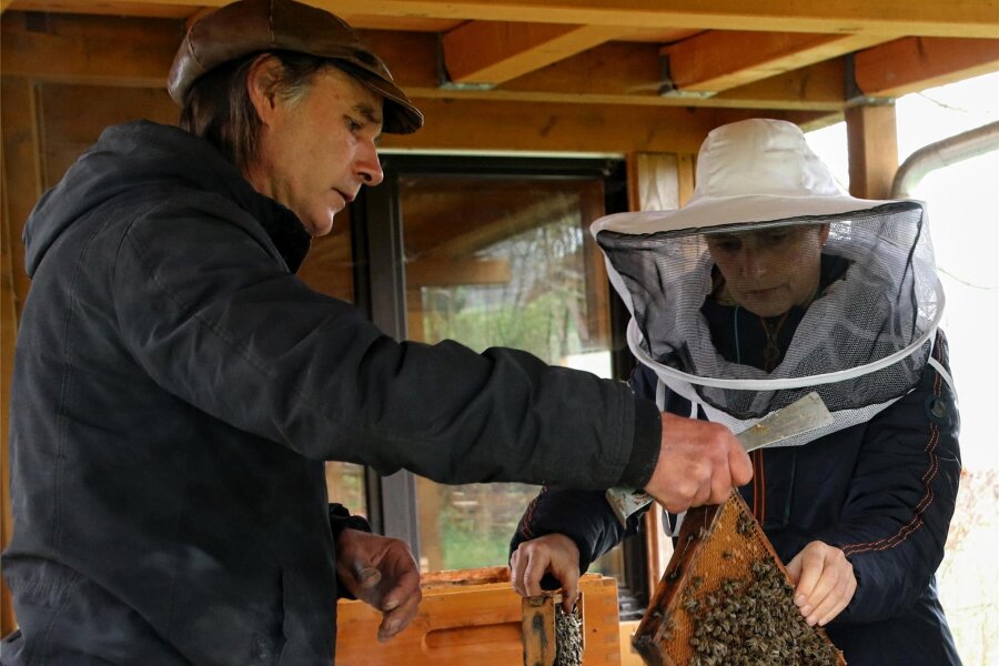 Kurs für Neuimker im Umweltzentrum Oberlauterbach - Beim praktischen Teil durften die Kursteilnehmer von Frank Heckers im Vorjahr mit Bienen auf Tuchfühlung gehen.