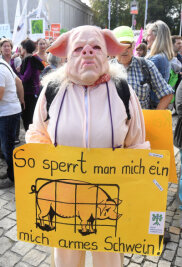 Kurz und schmerzhaft - ein Tierleben - Tierschützer im Schweinekostüm bei der Demonstration "Mia ham's satt": Foodwatch kämpft gegen das Leid von Tieren, die in Riesenställen leben.