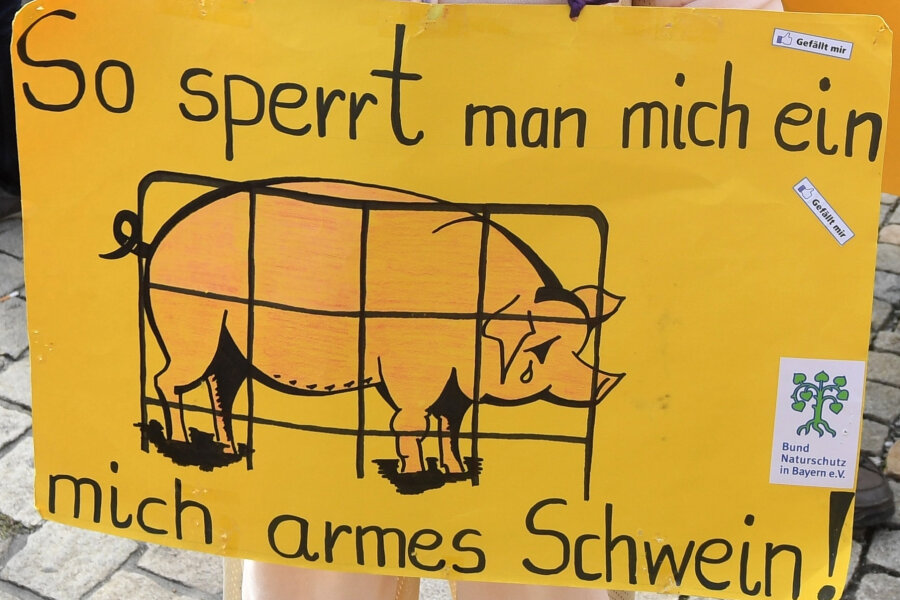 Kurz und schmerzhaft - ein Tierleben - Tierschützer im Schweinekostüm bei der Demonstration "Mia ham's satt": Foodwatch kämpft gegen das Leid von Tieren, die in Riesenställen leben.