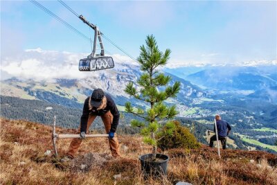 Laax: Winterurlaub in den Schweizer Alpen wird klimafreundlich - Auf dem Crap Sogn Gion werden aus den Erlösen des Last Day Pass Bäume gepflanzt. Der Skiort Laax im Südosten der Schweiz will nachhaltiger werden. Im Riders Hotel werden nur vegane Gerichte serviert. 